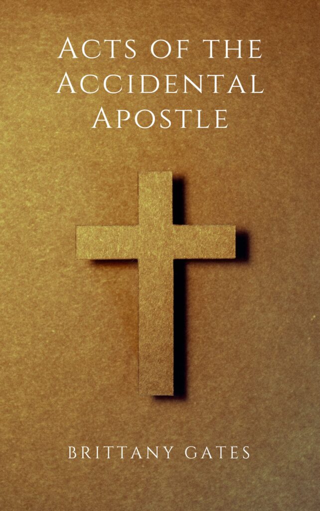 "Acts of the Accidental Apostle" book cover.